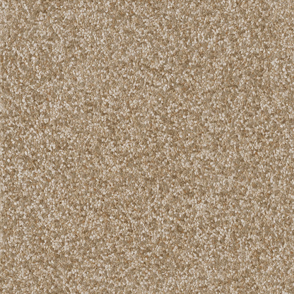 Cozumel Beige Out