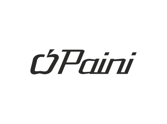 Paini